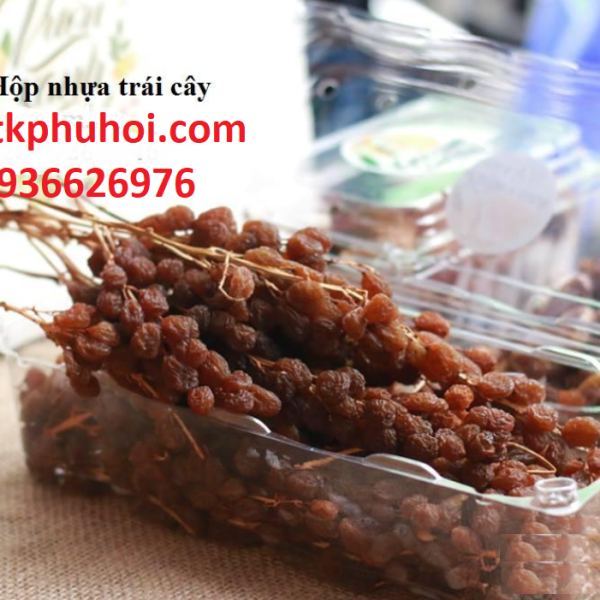 HỘP NHỰA ĐỰNG NHO KHÔ NGUYÊN CÀNH